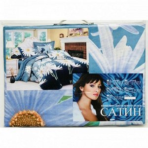 Комплект постельного белья Сатин 5D 2-спальный с евро простыней (Палитра E1)