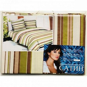 Комплект постельного белья Сатин 5D 2-спальный (Палитра C1)