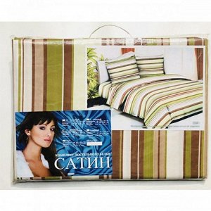 Комплект постельного белья Сатин 5D 2-спальный с евро простыней (Палитра D1)