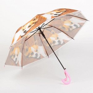 Зонт детский полуавтоматический "Задумчивая собачка", r=40см, со свистком, цвет коричневый