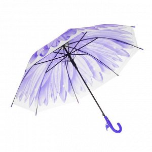 Зонт-трость "Гербера", полуавтоматический, со свистком, R=41см, цвет фиолетовый