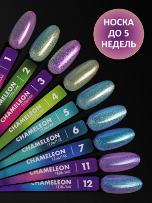 Гель-лак хамелеон (Gel polish CHAMELEON) #02, 8 ml