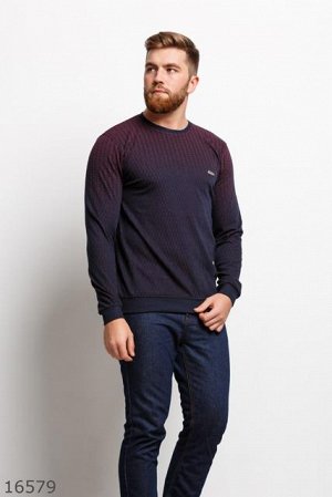 Мужской пуловер 16579 темный синий бордовый принт