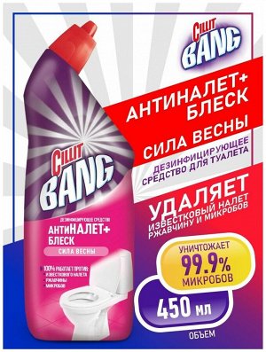 СИЛЛИТ БЭНГ д/туал. Сила весны /450