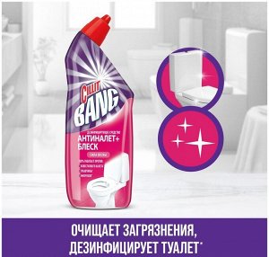 СИЛЛИТ БЭНГ д/туал. Сила весны /450