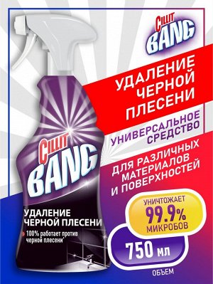 СИЛЛИТ БЭНГ Чист. ср-во Удаление черной плесени /750