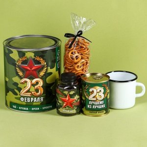 Подарочный набор "23 Февраля": чай чёрный 50., кружка 350 мл., арахис 100., крекеры 70.