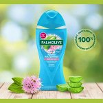 ПАЛМОЛИВ Гель д/душа Арома Настроение Твой Массаж /250