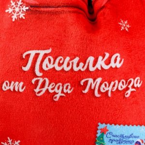 Сумка детская новогодняя «Посылка от Деда Мороза», 35 х 30 см., на новый год