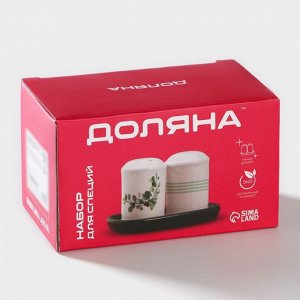 Набор для специй Доляна «Эвкалипт», солонка, перечница 130 мл, доломит, белый, зелёный