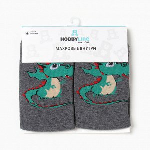 Носки женские «Дракончик» с махрой внутри, серые, размер 36-40