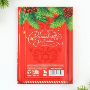 Подарочный набор новогодний, блок для записей 30 листов, ручка синяя паста, наклейки 5 шт. «Северная почта»