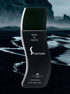 Туалетная вода мужская CORANIA SHAMAN 100 мл