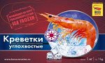 Свежий вылов! Углохвостая креветка