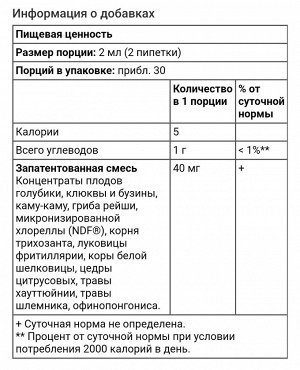 Добавка для поддержки иммунитета и выведения токсинов для детей, голубика, 60 мл
