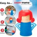 Microwave Cleaner