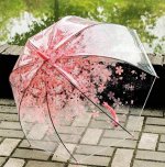 Зонты. Коллекция 2