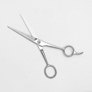 Ножницы парикмахерские с упором, лезвие — 6,5 см, цвет серебристый