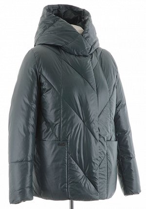 Зимняя куртка AT-25