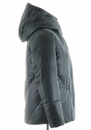 Зимняя куртка AT-25