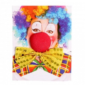 Карнавальный набор "Клоун", 2 предмета: нос, бабочка