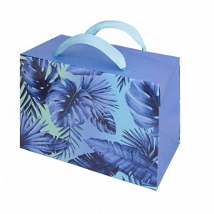 Пакет-коробка "Голубые джунгли" 15х11х9см ПКП-9057