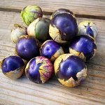 Физалис Plum jam