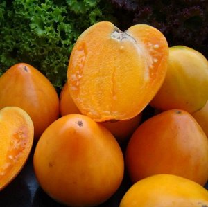 Томат Persimmon