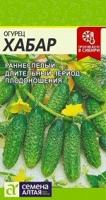 Огурец Хабар ПЧ, раннеспелый, 10-11см 0,3гр СА/БП