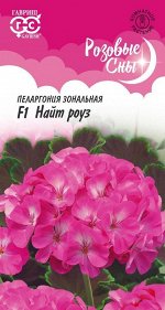 С Ц Пеларгония Найт Роуз F1 зональная, фиолетово-розовая, 35см, комн 4шт Гавриш/ЦВ