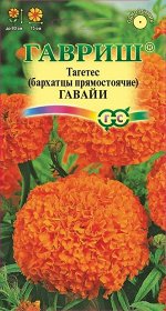 Бархатцы Гавайи прямост, густомахр, оранжевые, до 80см, однол 0,3гр Гавриш/ЦВ