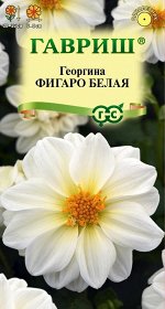 С Ц Георгина Фигаро Белая махр/полумахровая, 30-35см, 7шт Гавриш/ЦВ