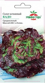 С Салат Кадо кочанный, среднеспелый 1гр Седек/БП