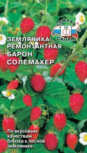 Земляника Барон Солемахер раннеспелая, ремонт, не образует усов 0,04гр Седек/ЦВ