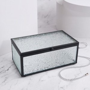 Органайзер для хранения «Wet Glass», 1 секция, с крышкой, стеклянный, с зеркальным основанием, 14,5 ? 8,5 см, цвет прозрачный/чёрный