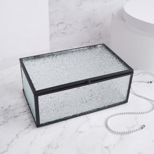 Органайзер для хранения «Wet Glass», 1 секция, с крышкой, стеклянный, с зеркальным основанием, 17 ? 10,5 см, цвет прозрачный/чёрный