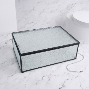 Органайзер для хранения «Wet Glass», 1 секция, с крышкой, стеклянный, с зеркальным основанием, 25 ? 17,5 см, цвет прозрачный/чёрный