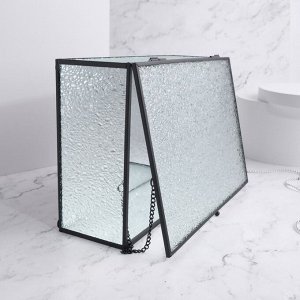 Органайзер для хранения «Wet Glass», 1 секция, с крышкой, стеклянный, с зеркальным основанием, 25 ? 17,5 см, цвет прозрачный/чёрный