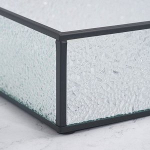 Органайзер для хранения «Wet Glass», 1 секция, стеклянный, с зеркальным основанием, 29 ? 17,5 см, цвет прозрачный/чёрный