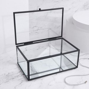 Органайзер для хранения, 1 секция, с крышкой, стеклянный, с зеркальным основанием, 17 ? 10,5 см, цвет прозрачный/чёрный