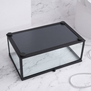 Органайзер для хранения, 1 секция, с крышкой, стеклянный, с зеркальным основанием, 17 ? 10,5 см, цвет прозрачный/чёрный