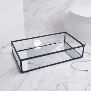 Органайзер для хранения, 1 секция, стеклянный, с зеркальным основанием, 24 ? 14 см, цвет прозрачный/чёрный