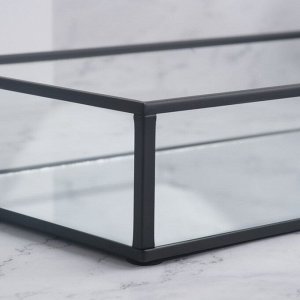 Органайзер для хранения, 1 секция, стеклянный, с зеркальным основанием, 24 ? 14 см, цвет прозрачный/чёрный