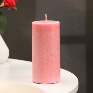 Свеча-цилиндр гладкая,5х10 см, пальмовый воск, розовая, 6 ч