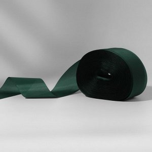 Лента капроновая, 50 мм, 100 ± 5 м, цвет тёмно-зелёный