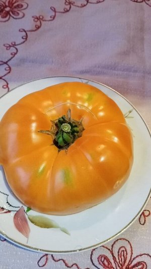 Томат Дикси Золотой Гигант (США), 5 семян, сортовой