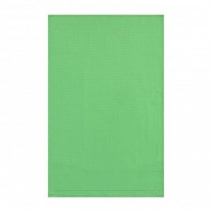Набор полотенец Доляна цв. светло-зелёный, 40х60 см - 2 шт, 100% хл, вафля 170 г/м2