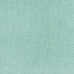 Плед Этель цв.мятный 200*220 см,100% п/э, корал-флис 220 гр/м2