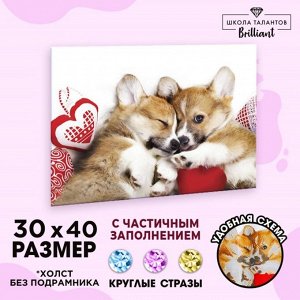 Алмазная мозаика с частичным заполнением «Малыши корги» 30х40 см, холст, ёмкость