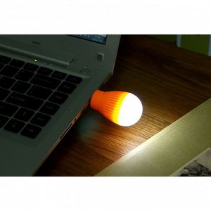 Ночник "Лампочка" LED USB МИКС 3,5х3,5х6,5 см RISALUX